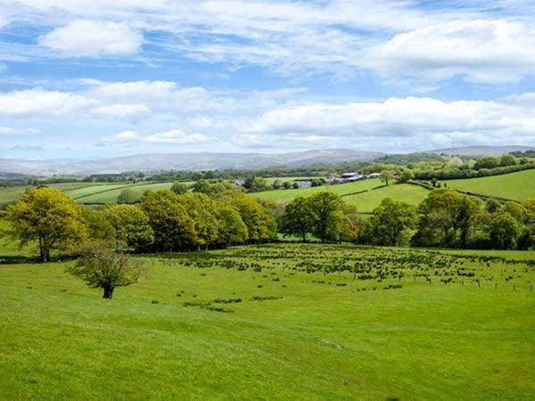 Black Mountain View Llanafan-fawr エクステリア 写真